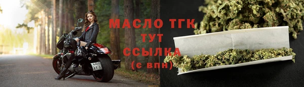 СК Новодвинск
