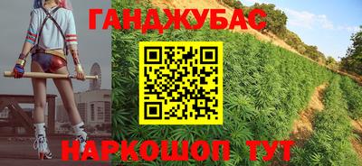 мяу мяу мука Аргун