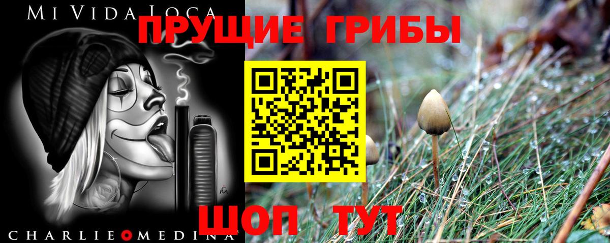 Курган  где продают   Вход с VPN  Псилоцибиновые грибы Magic Shrooms 
