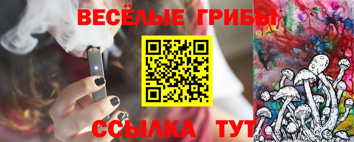 Галлюциногенные грибы мицелий Курган