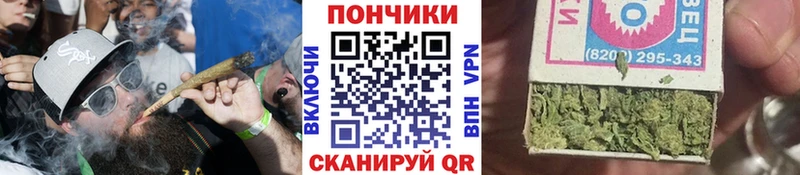 Марихуана индика  Курган 